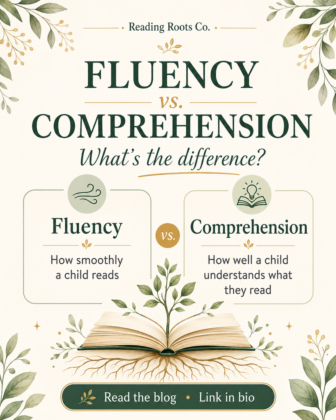 Fluency vs Comprehension -- What is the difference in reading?